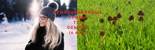 a pvp Володарск